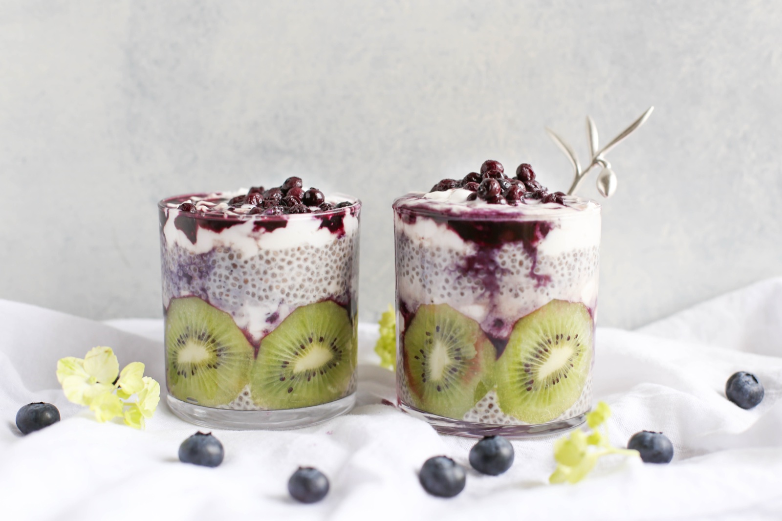 Blueberry Chia Seed Pudding